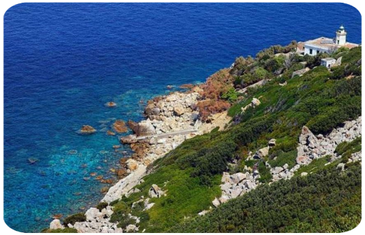 Ponza, L'Isolana, zannone